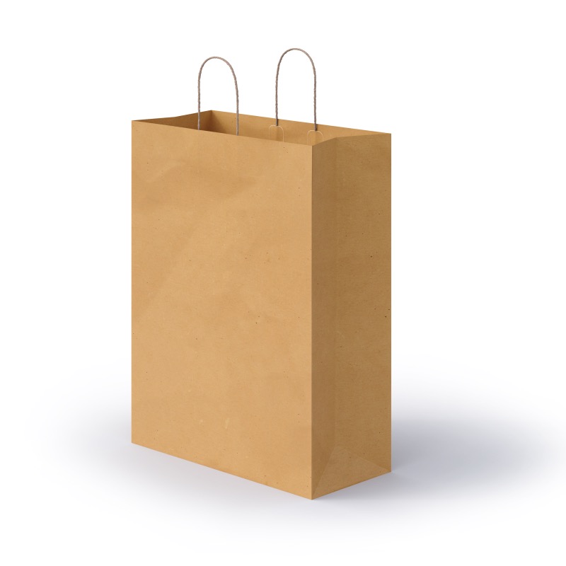 Kraft natural bag