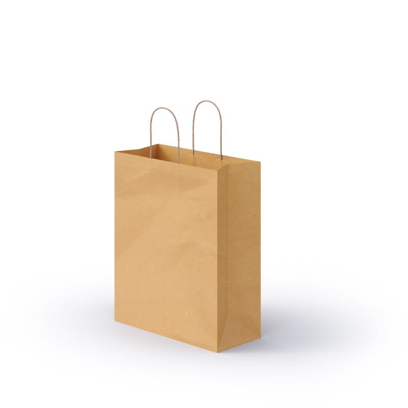 Kraft natural bag