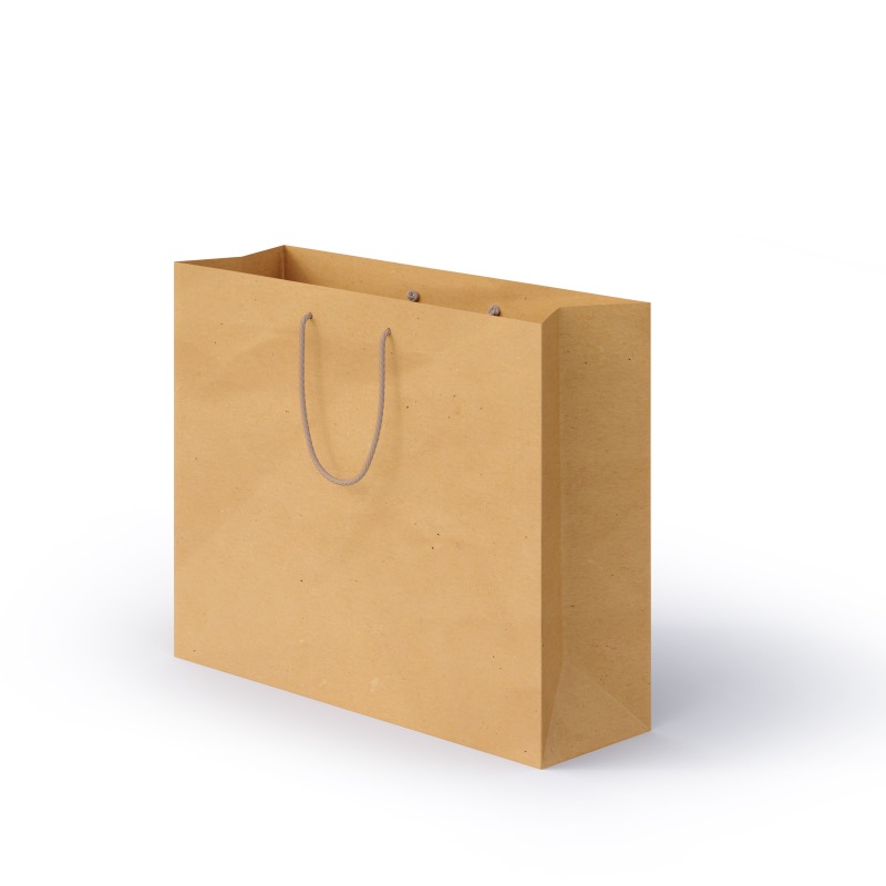 Kraft natural bag